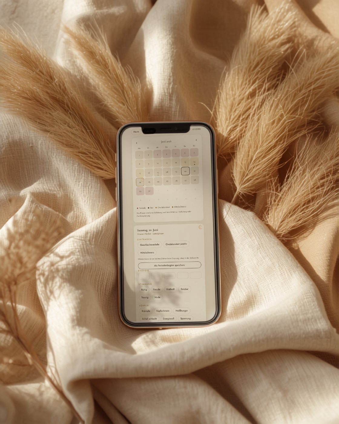 Zyklus-Kalender der App
